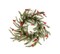 Napa Home & Garden Green and Red Glittered Cardinal Snow Pine Artificial Christmas Wreath - 24-Inch, Unlit